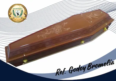Ref. Godoy Bromélia
